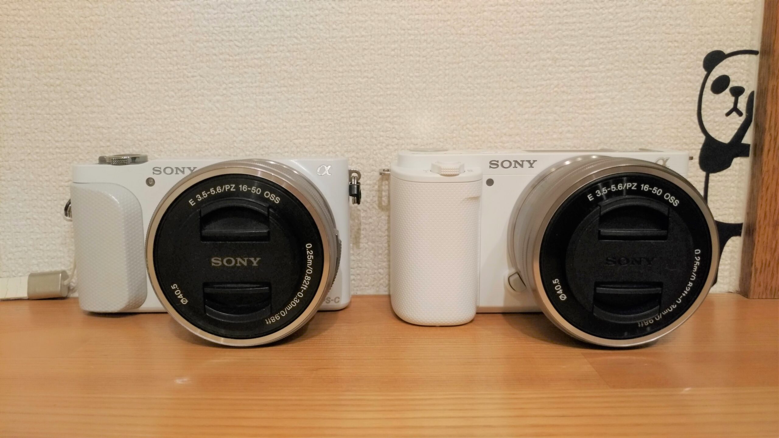 何を撮るのか⁉】SONY ZV-E10購入 NEX-3Nとの比較レビュー | ログノレ